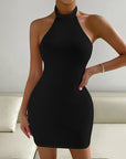 High Neck Sleeveless Bodycon Dress