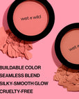 Wet N Wild Color Icon Blush