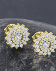 Lavishly elegant stud 925 Silver Earrings | 9212942