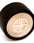 HIDDEN AGENDA CONCEALER